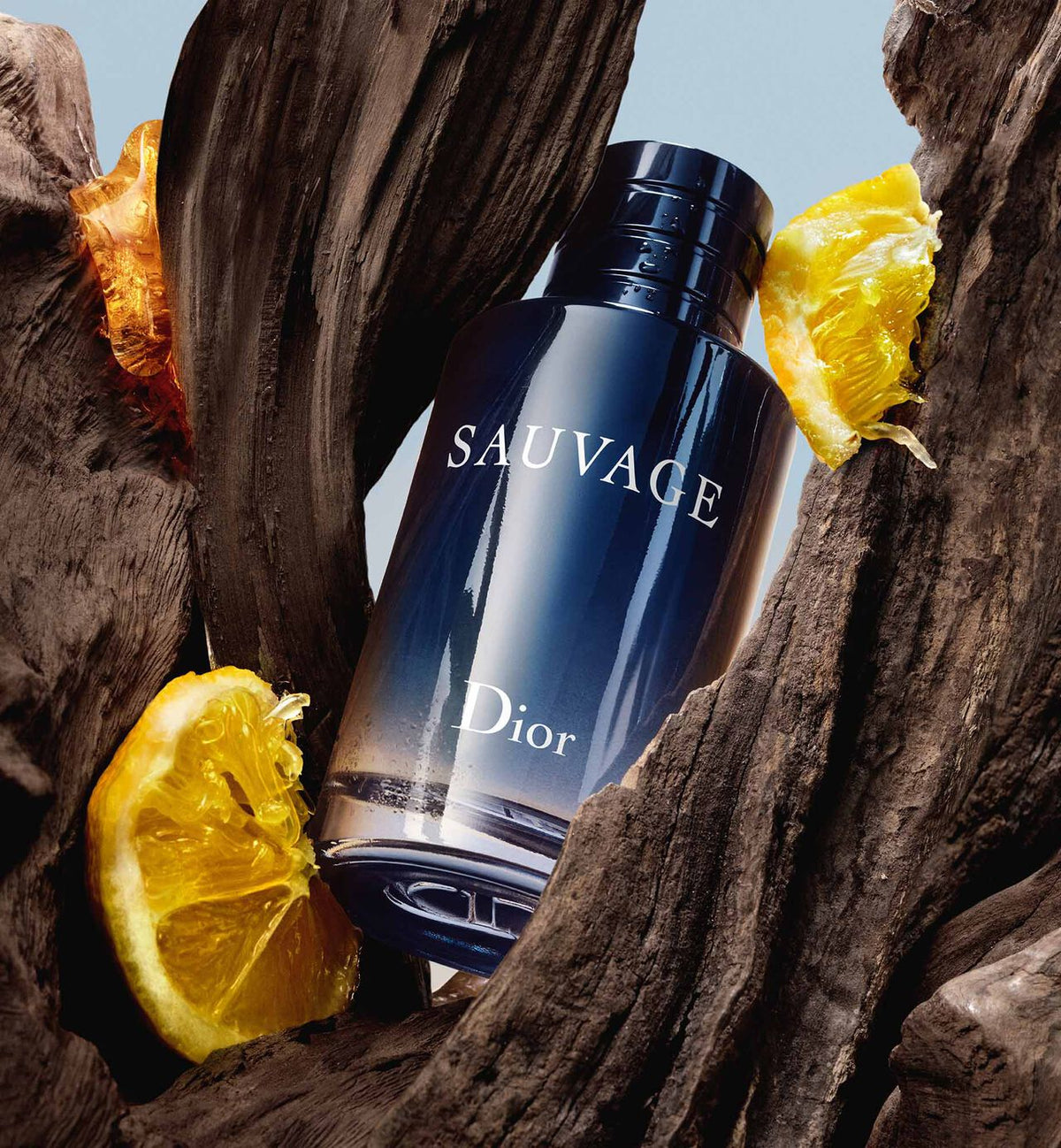 🔥 Dior Sauvage EDP | Long-Lasting